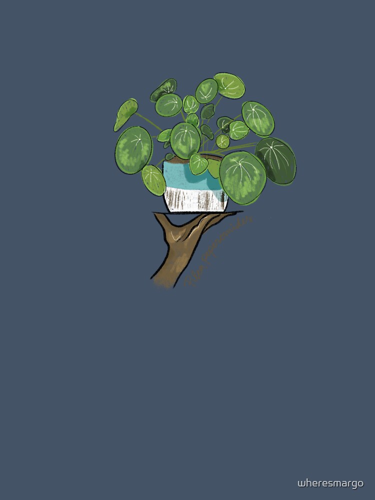 Chinese Money Plant by wheresmargo
