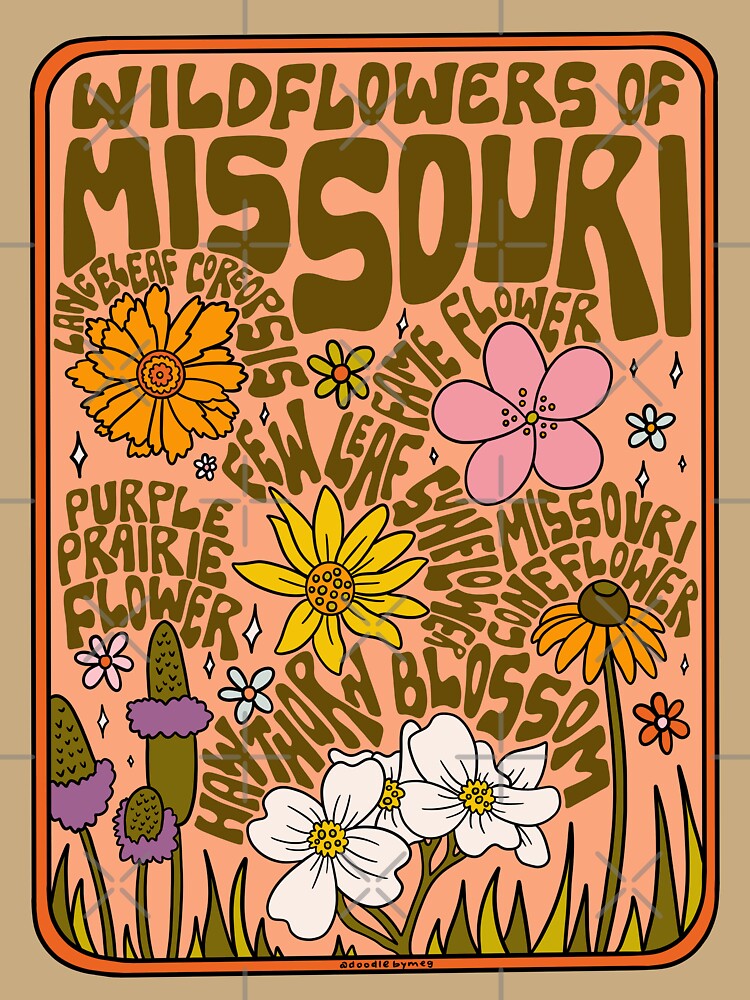 Missouri Wildflowers by doodlebymeg
