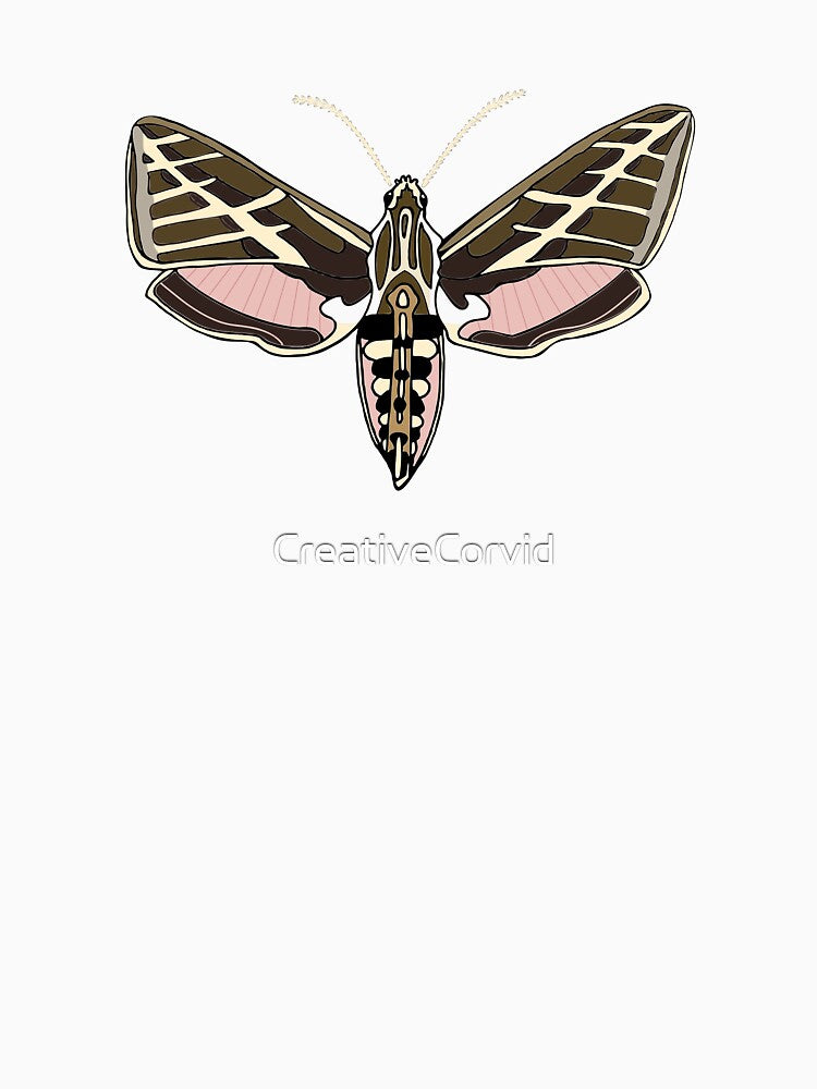 White-lined Sphinx Moth by CreativeCorvid