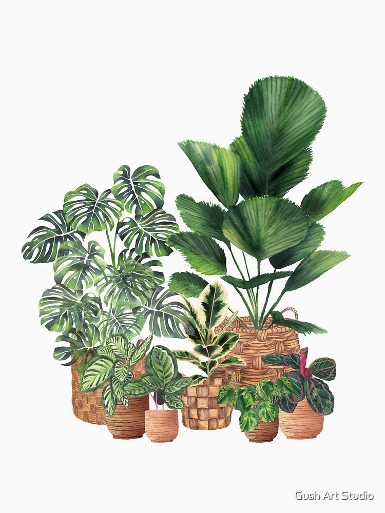 House Plants Art by Ana Moguš