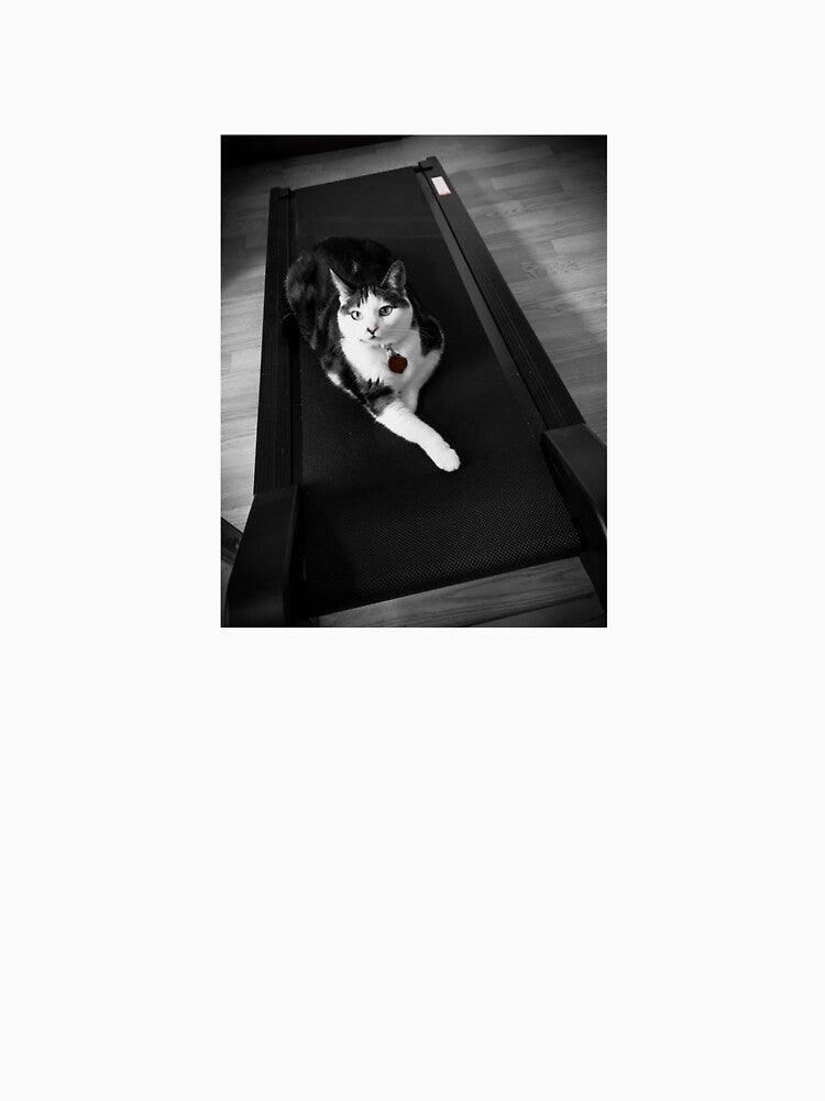 Cat on Treadmill by Toftneln