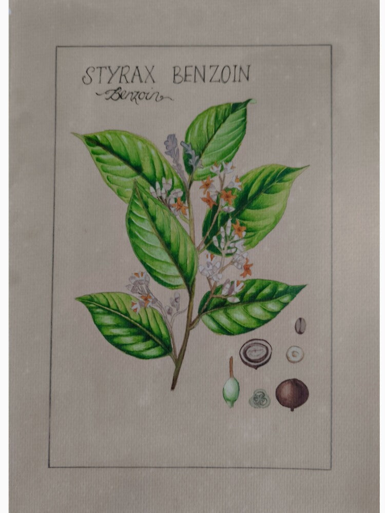 Apothecary Benzoin by TheCrowwife