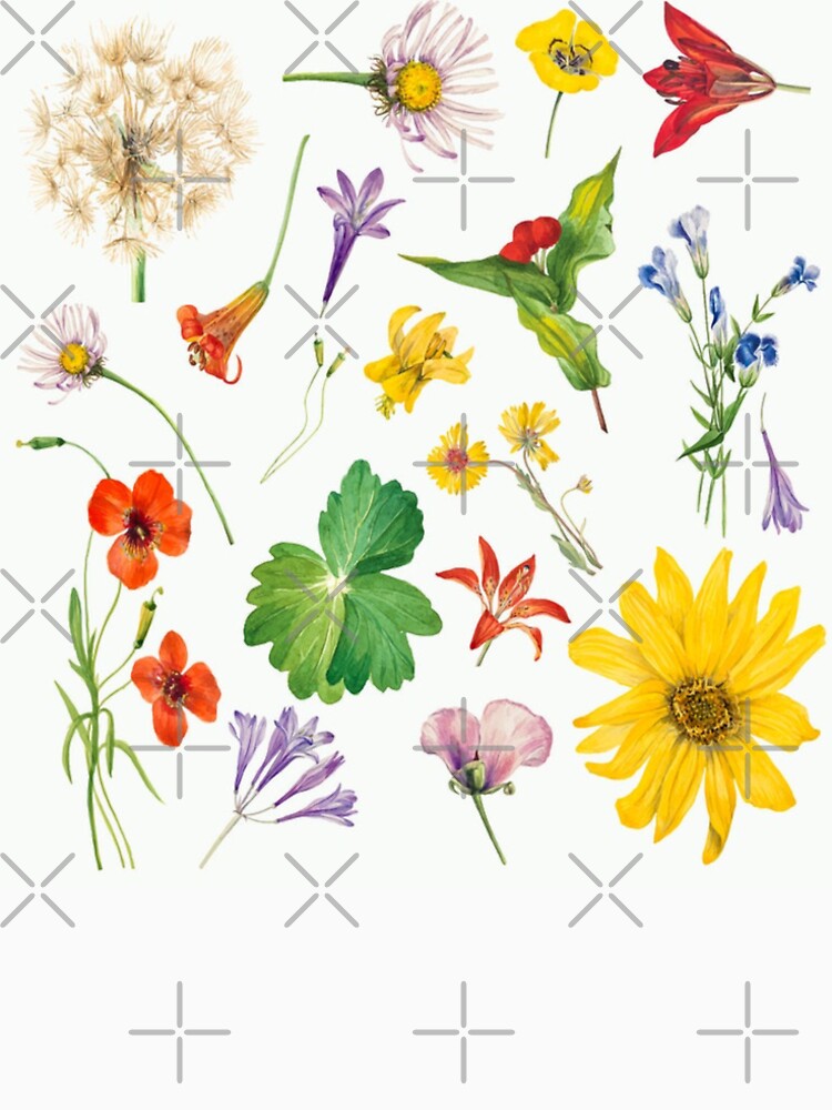 Colorful Vintage wildflowers by Bellathewilde