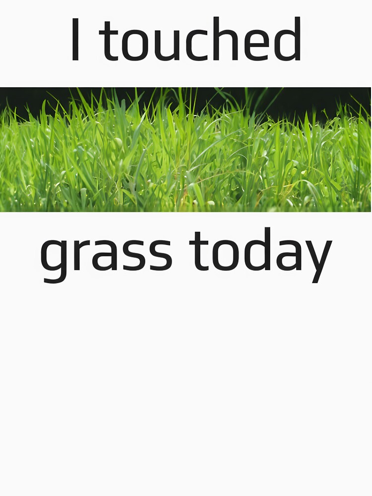 I Touched Grass Today Internet Meme Gamer Offline Quote by AnnDesignStudio