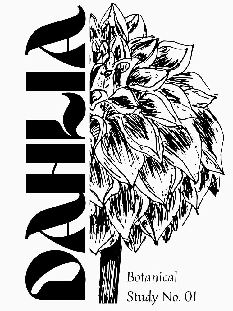 Copy of Echinacea Botanical Study Line Art Illustration by Cathy Quin