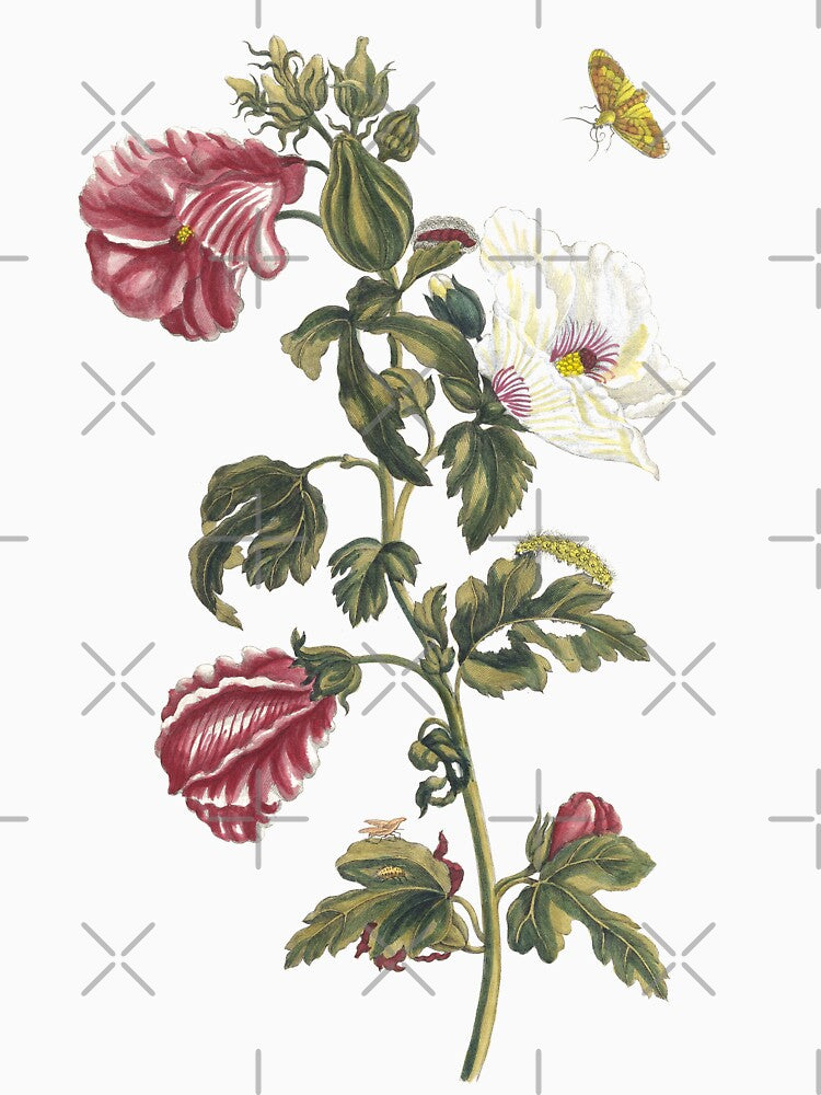 1705 Vintage German Floral Print: Althea by bellatierra