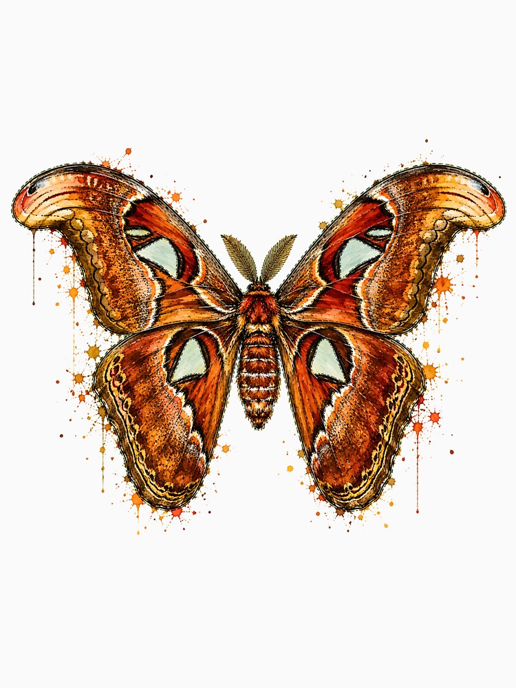 Atlas Moth Watercolor Art – Majestic Giant Moth Nature Illustration by ColorSplash123