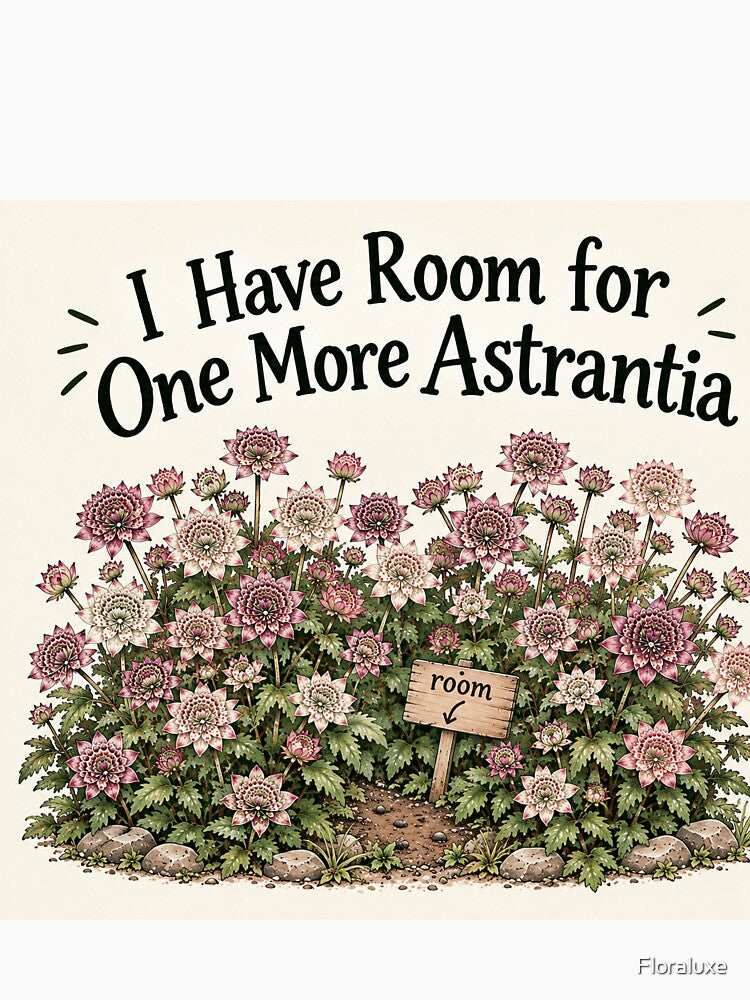 Astrantia Gardening Humor – One More Astrantia by Floraluxe