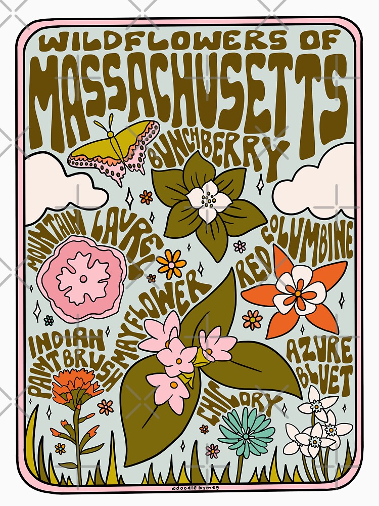 Massachusetts Wildflowers by doodlebymeg