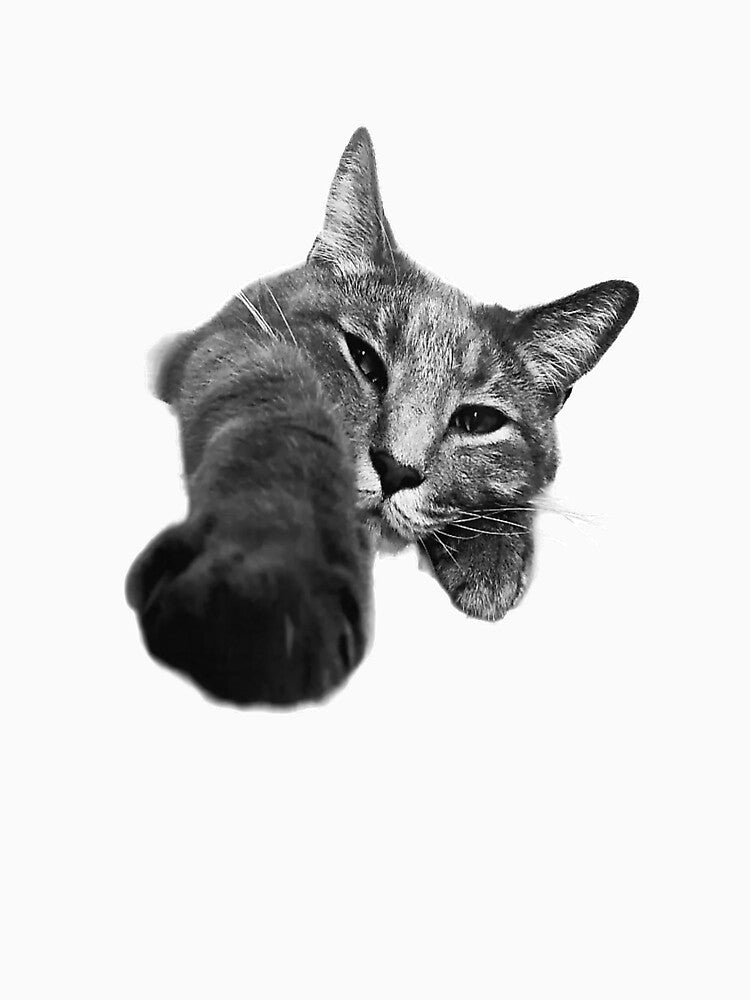 Lazy Cat Stretching T-Shirt by gidget-gadget