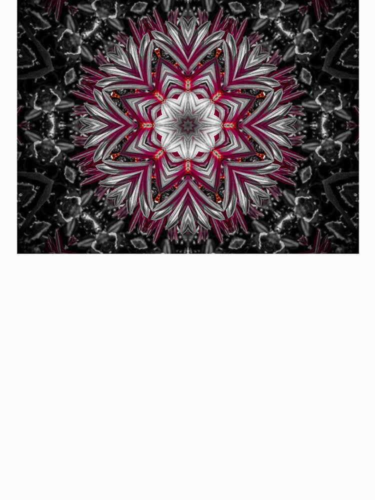 A Mandala of Mums in the Shape of a Star by Sara Graham-Costain