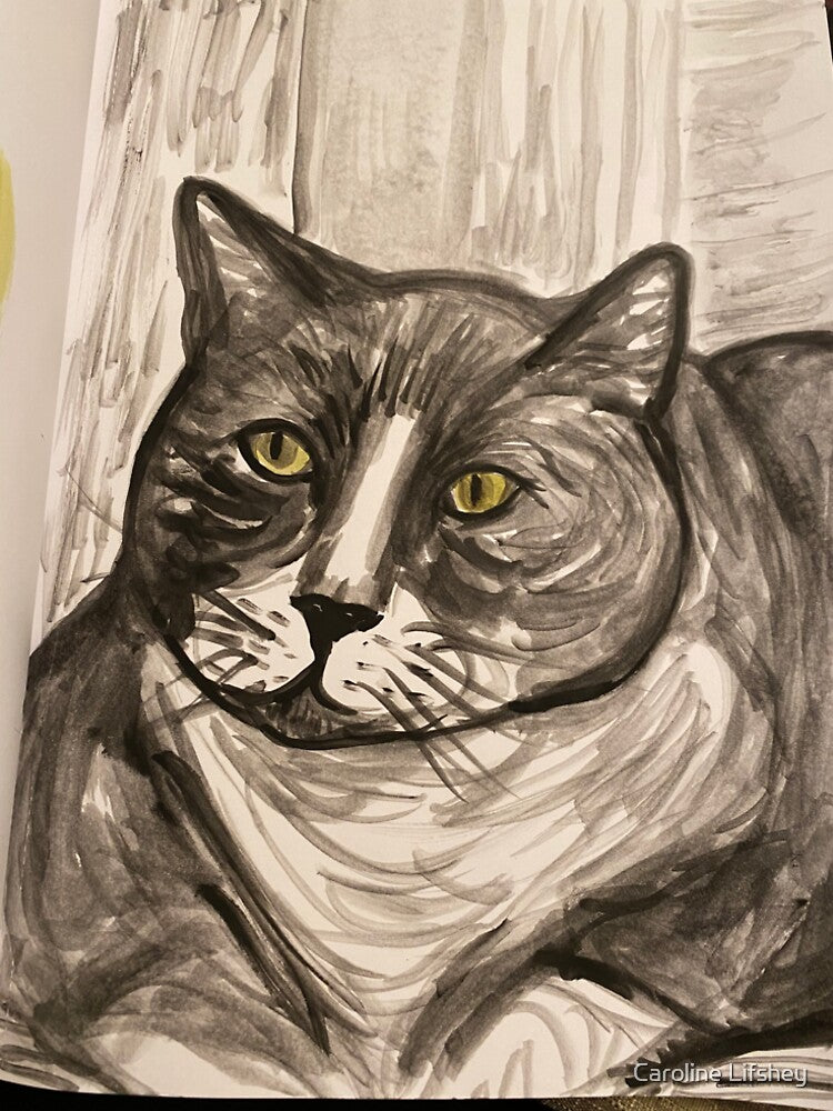 Fat Cat by Caroline Lifshey