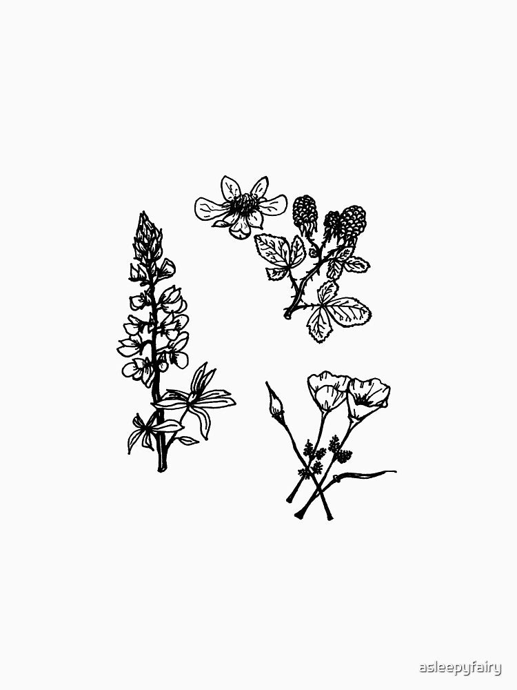 California Wildflowers Lupine Blackberry Poppy Botanical Illustration by asleepyfairy