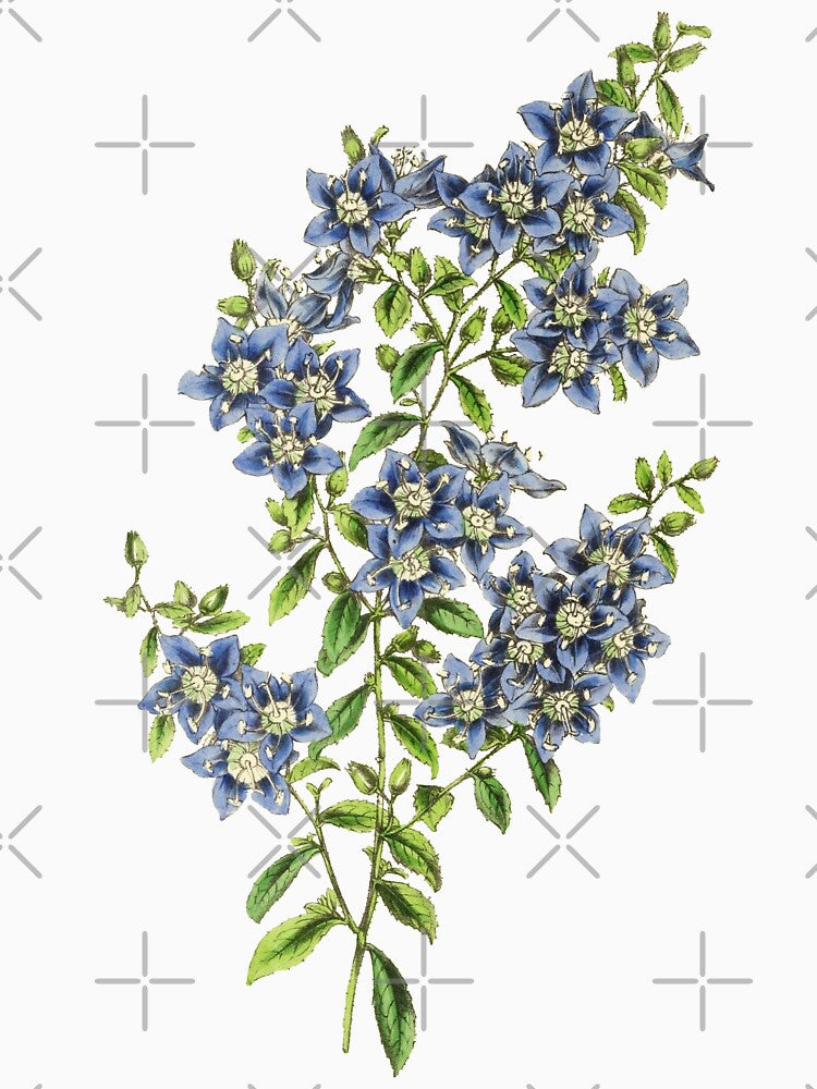 Blue Wildflowers Botanical Print by Veriepear