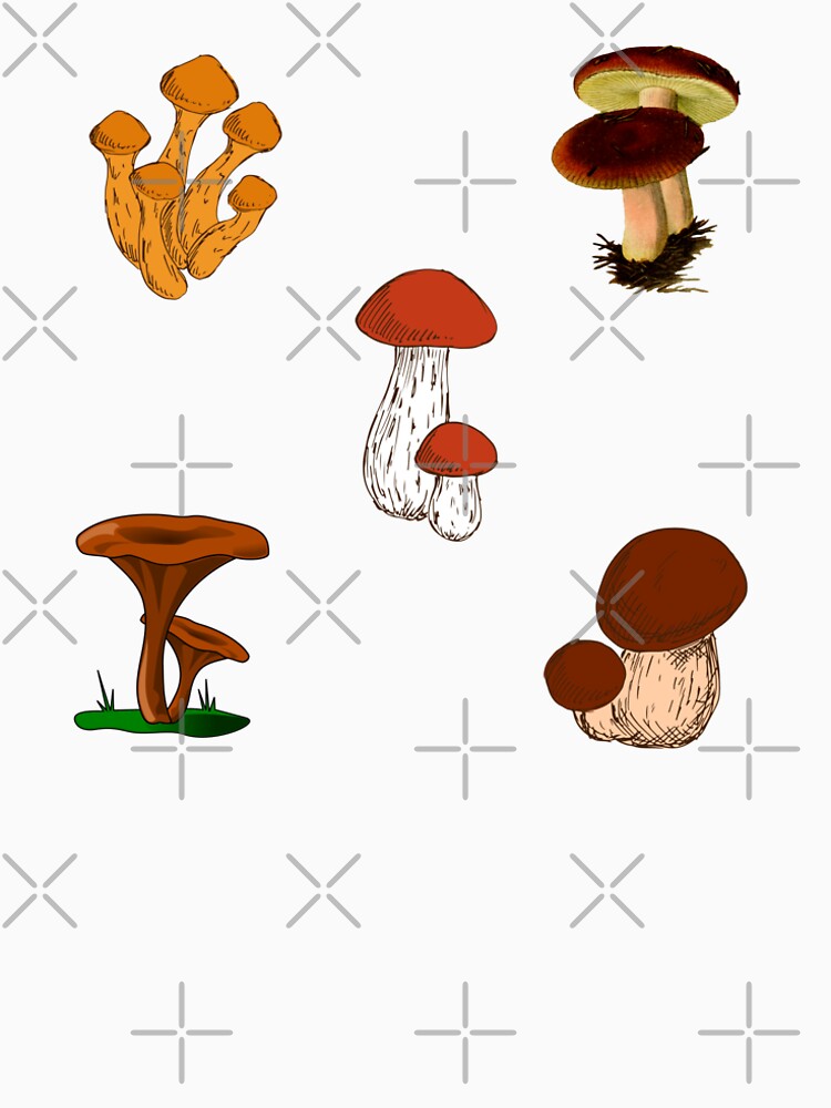 5 set of vintage look mushroom art ( Buy medium or large) sticker by vashumaso