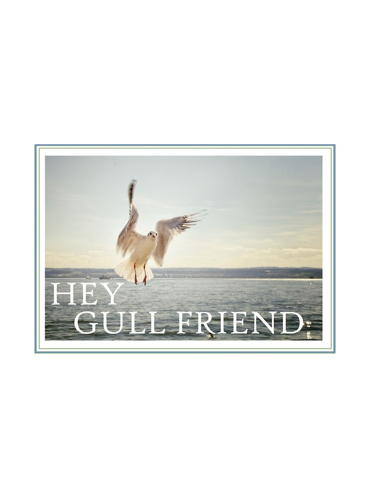 HEY GIRLFRIEND (gull friend) by cityette