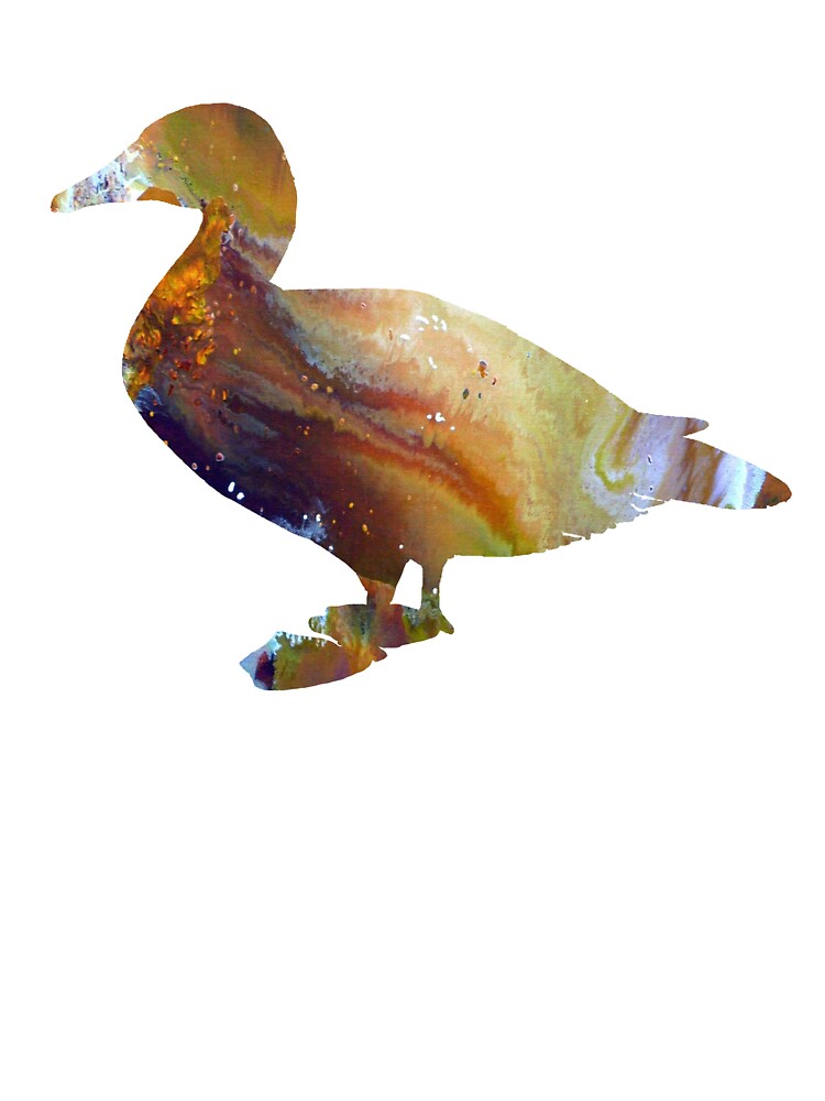 Eider duck by MordaxFurritus