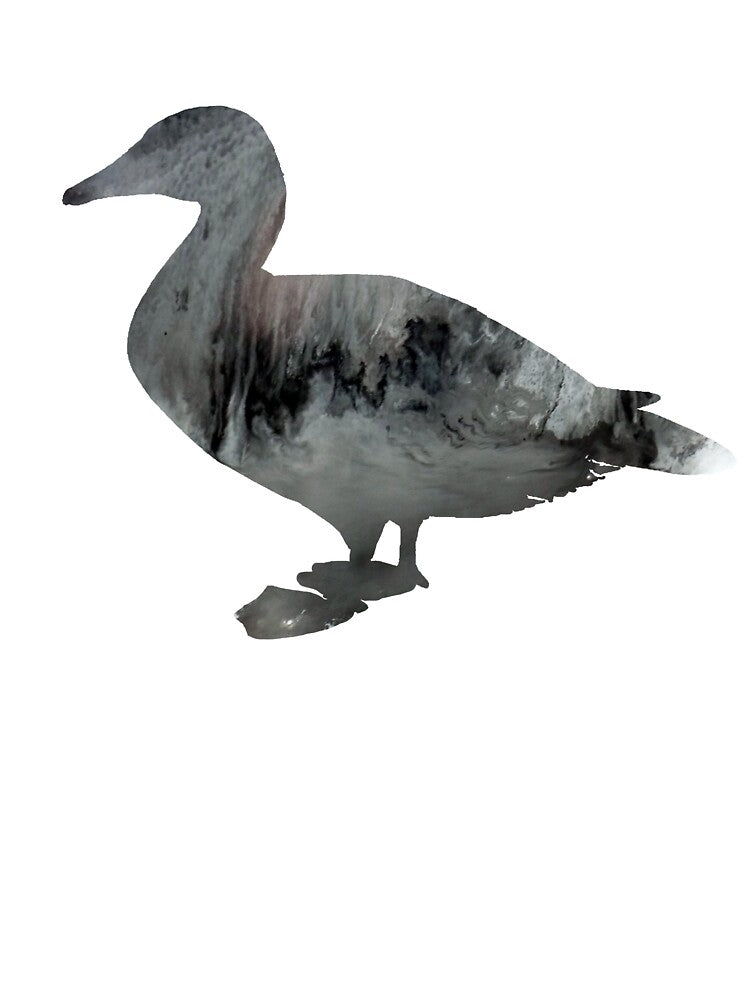Duck by MordaxFurritus