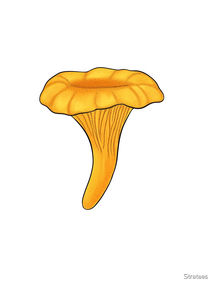 chanterelle by Strataes