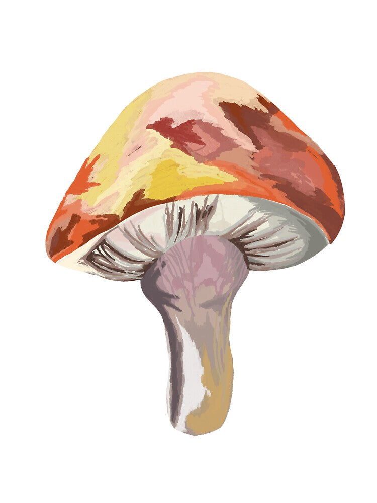 Mysterious Mushroom by Amandasartplace