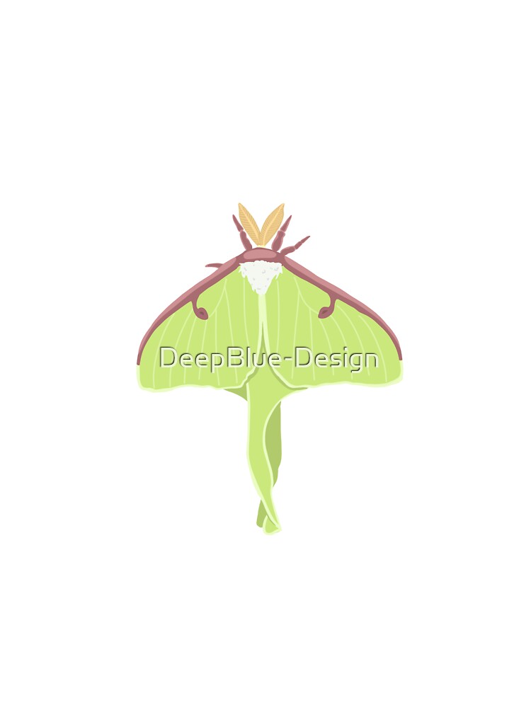 Luna Moth Sticker by DeepBlue-Design