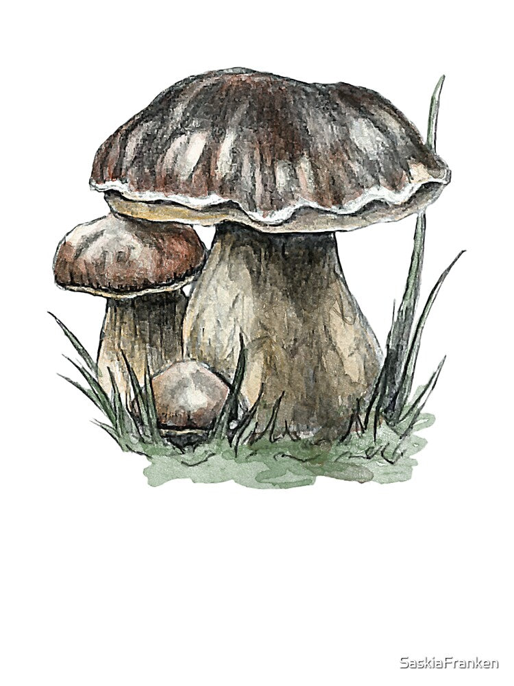 Realistic Porcini Mushroom – Pencil and Watercolor Botanical Fungi Illustration by SaskiaFranken