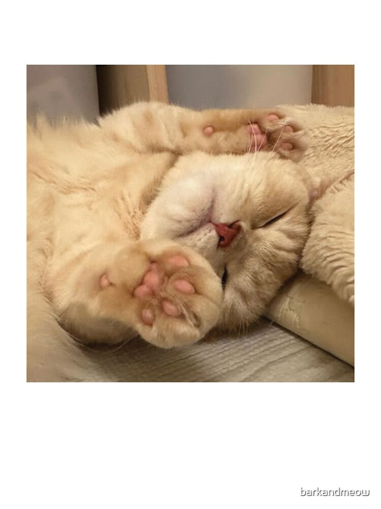 Cute Funny Cat Sleeping Cat Lover by barkandmeow