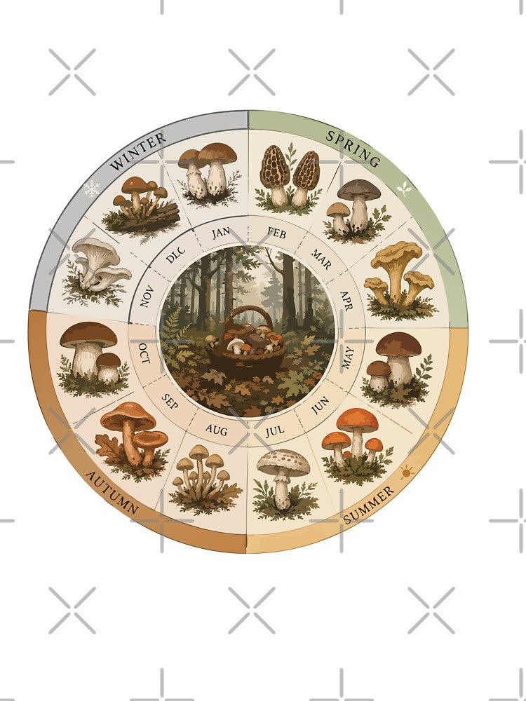 Mushroom Season Wheel Wild Mushroom Calendar | Year-Round Foraging Guide | Mycology Chart by SimplePoDesign