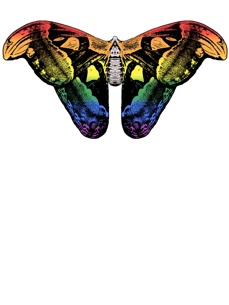 Gay Pride Moth by ella-tess