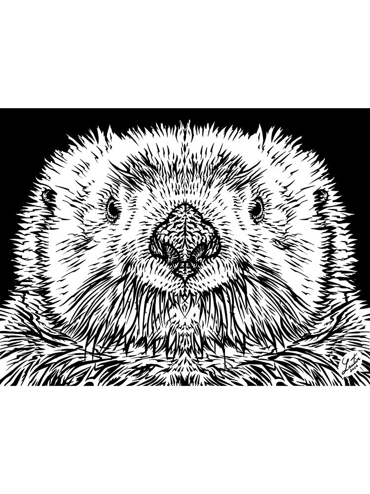 OTTER ink portrait by lautir