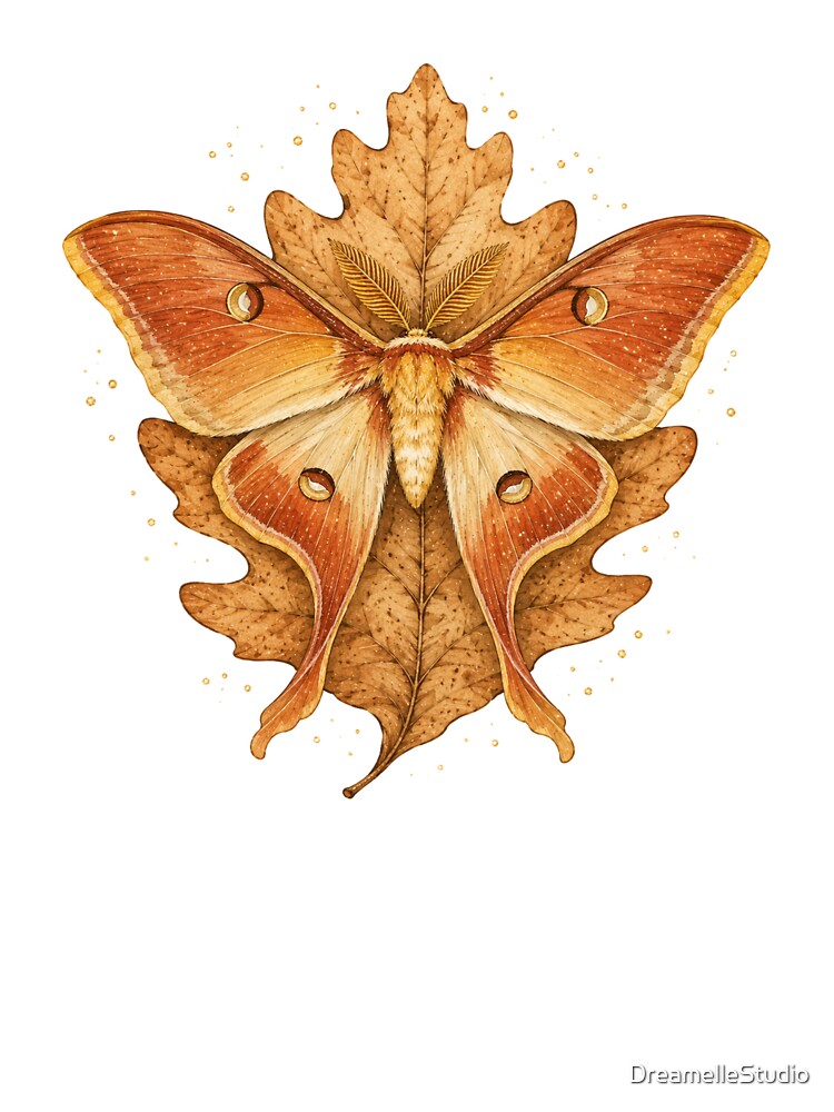 Autumn Luna Moth Rust Gold Fall Moth Art by DreamelleStudio