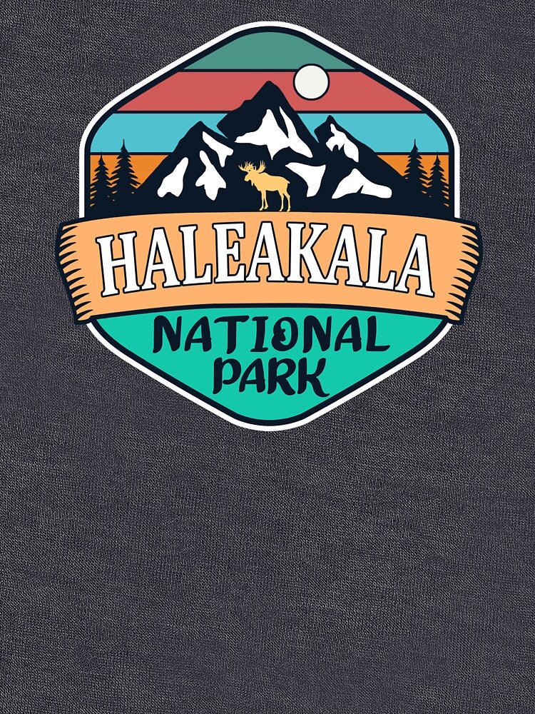 Haleakala National Park- Vintage by nature-space