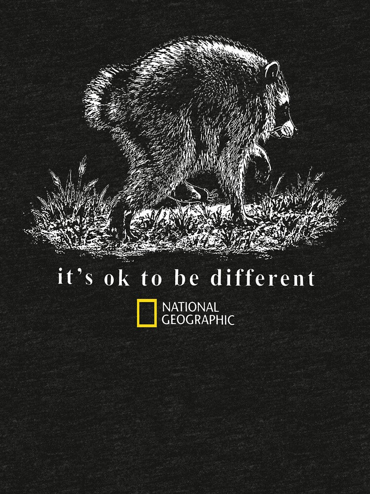 Jimothy Raccoon - Seattle Raccoon - Jimothy Seattle Wildlife - Jimothy Raccoon Halloween - Raccoon Meme - Famous Seattle Raccoon by KravinaPhol