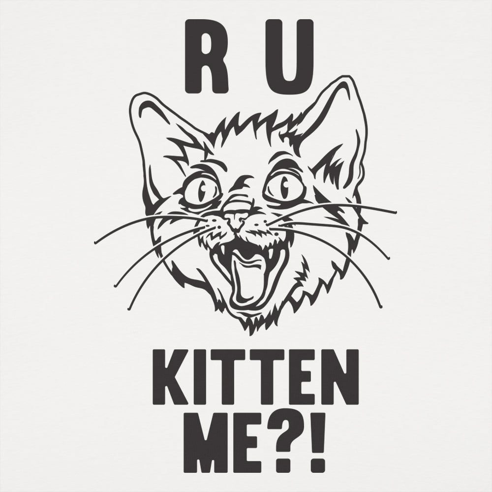 R U Kitten Me?