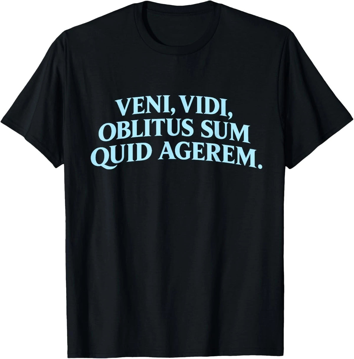 Veni Vidi Oblitus Sum Quid Agerem Funny Latin Quote Teachers T-Shirt