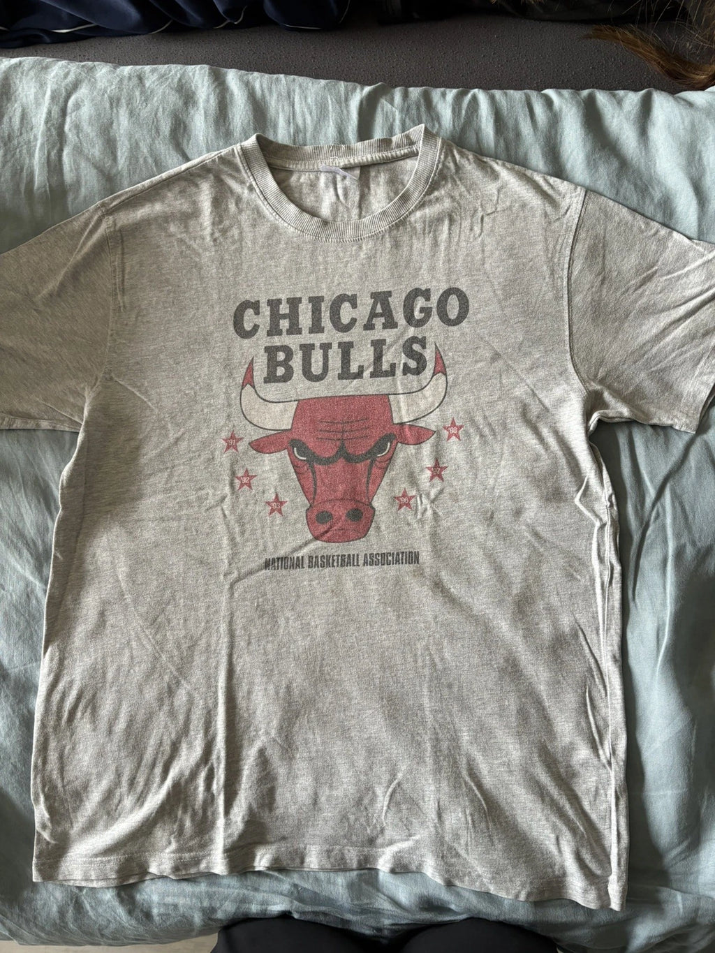 Vtg 90s Chicago Bulls 6 Time Champions T Shirt L Grey NBA Three Peat Distressed