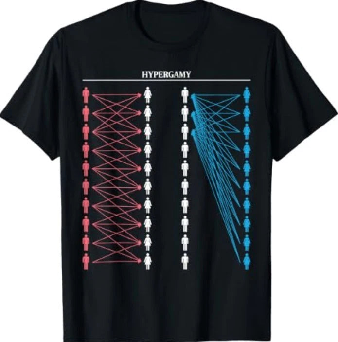Hypergamy Meme Funny Dating Strategy Sarcastic Relationship T-Shirt