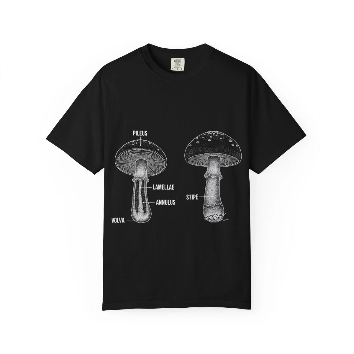 Vintage Mushroom Anatomy Chart T-Shirt Mycology Fungi Science Foraging Biologist