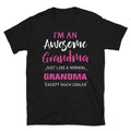 Awesome Grandma Funny Cute Grandma Mom Humor T-Shirt