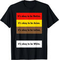 It's Okay to Be Native It's Okay to Be Asian It's Okay to Be unisex T-Shirt