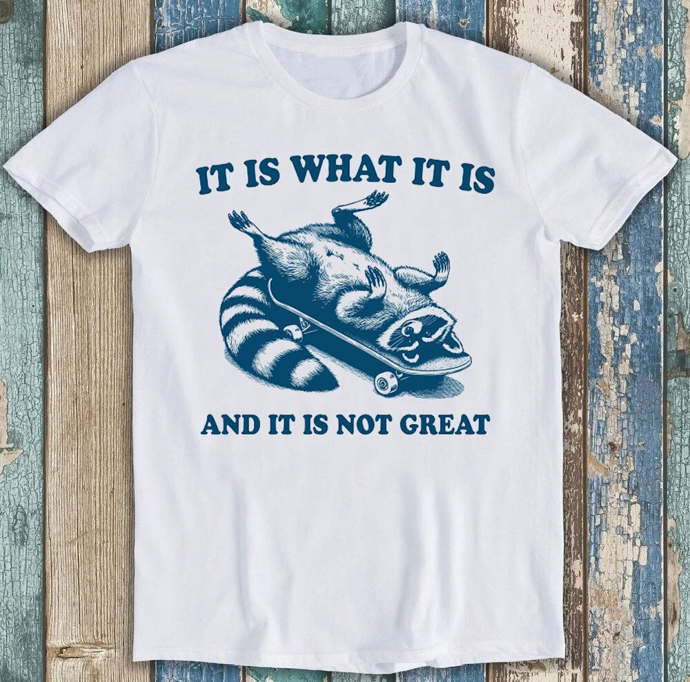 It is What It is and It's Not Great Raccoon Funny Gift Tee T Shirt 1782