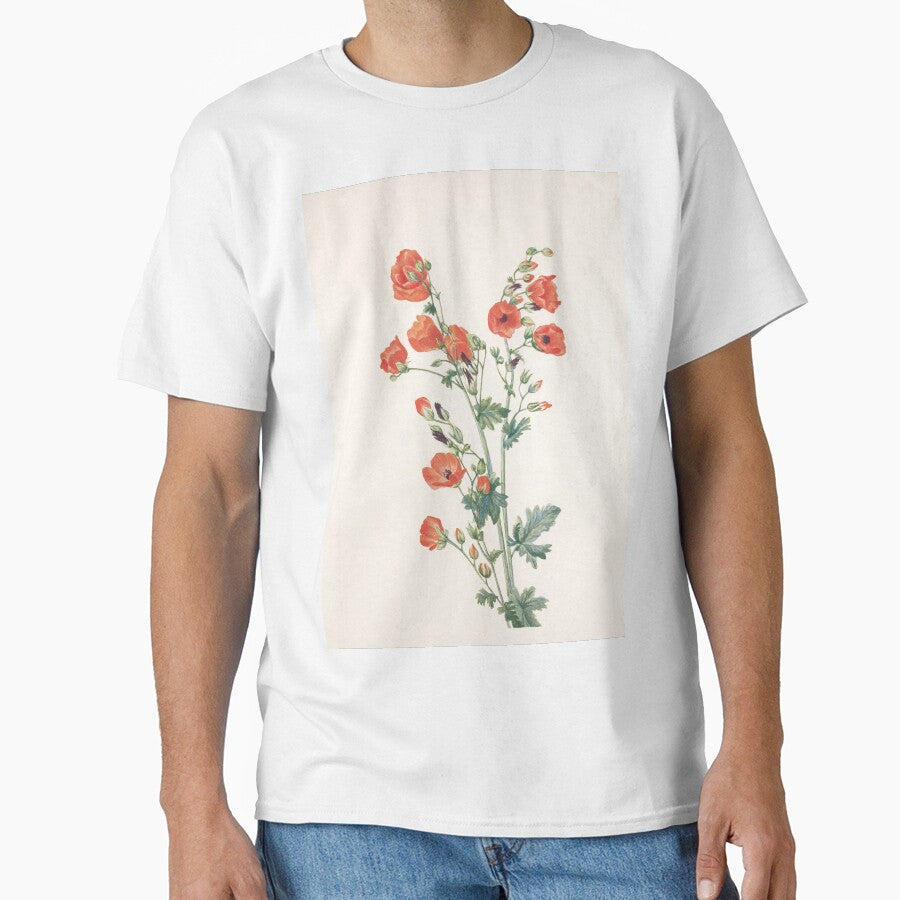 Scarlet Globe Mallow – Vintage Wildflower Illustration by Mary Vaux Walcott (1925) by EmeraldeaArt
