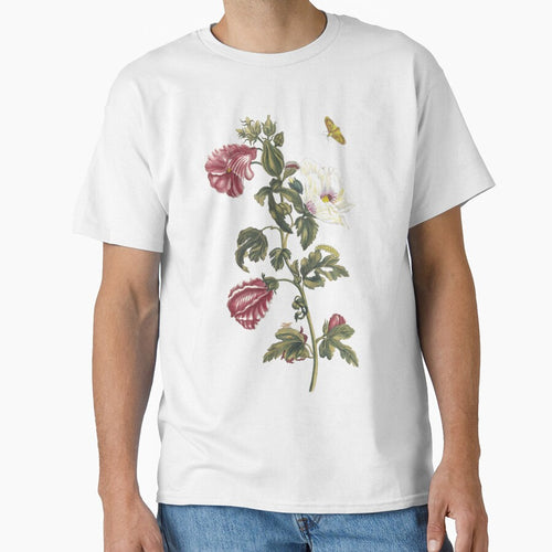 1705 Vintage German Floral Print: Althea by bellatierra