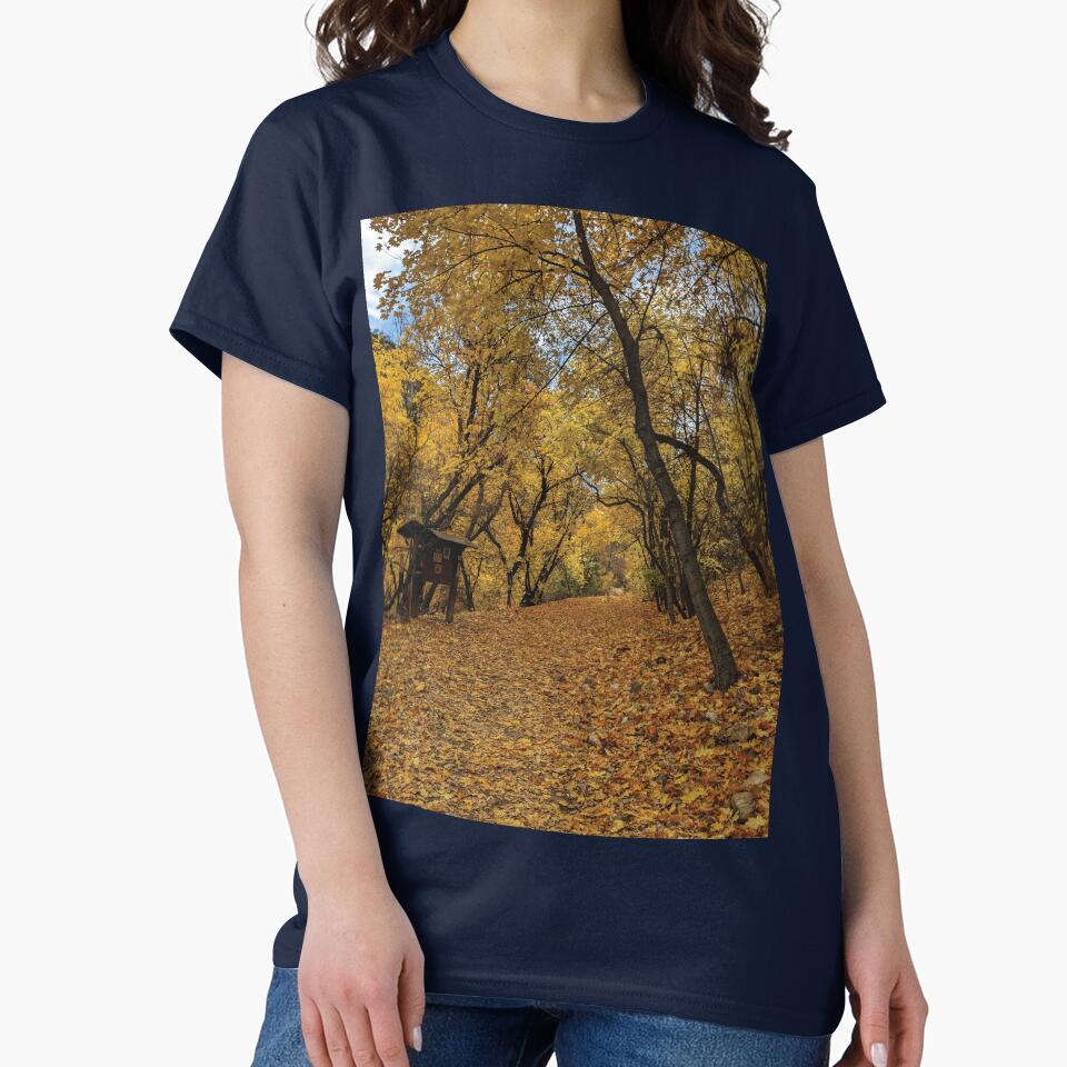 Fall Path 1 by Mythic Meraki