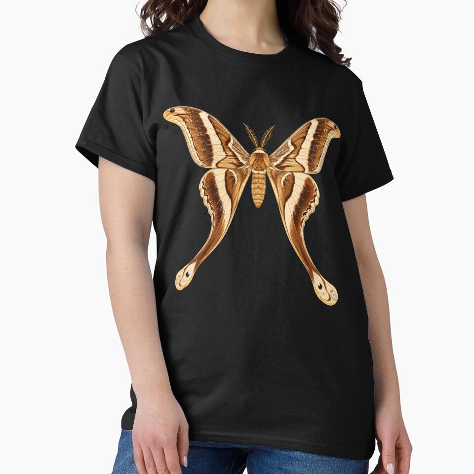 Hercules Moth Coscinocera hercules Cartoon Style by Harpagann