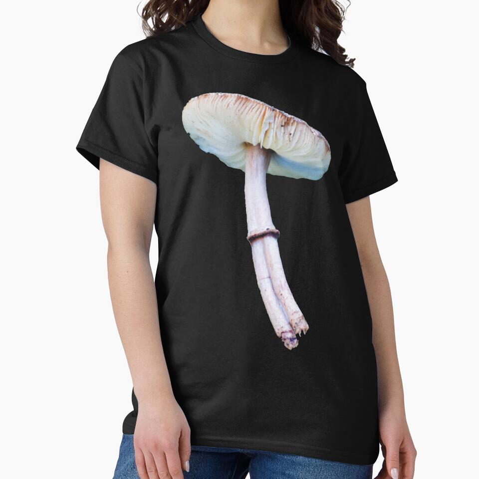 Double-stemmed Graceful Parasol Mushroom by Maddy the Maker