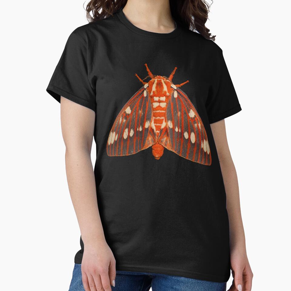 Regal Moth Citheronia regalis Realistic Style by Harpagann