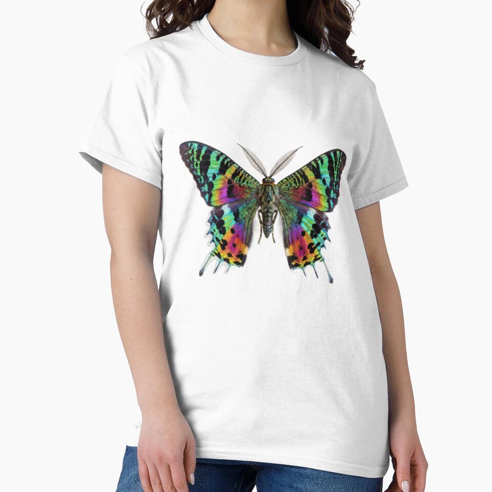 Madagascan Sunset Moth – Vivid Rainbow Portrait by Helt-enkelt