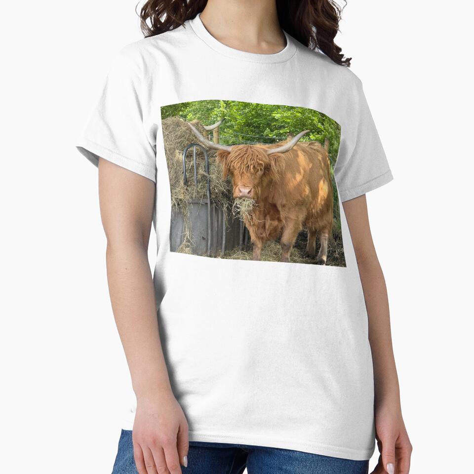 Highland cow chewing the cud by Photogold Photo Gifts