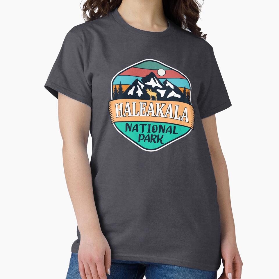 Haleakala National Park- Vintage by nature-space